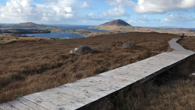 Rhododendron clearance plan announced for Connemara