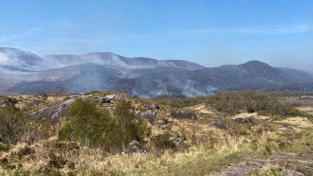 IWT calls for emergency measures 'to stop the cycle of infernos'