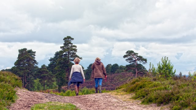 Countryside visitors urged to park responsibly