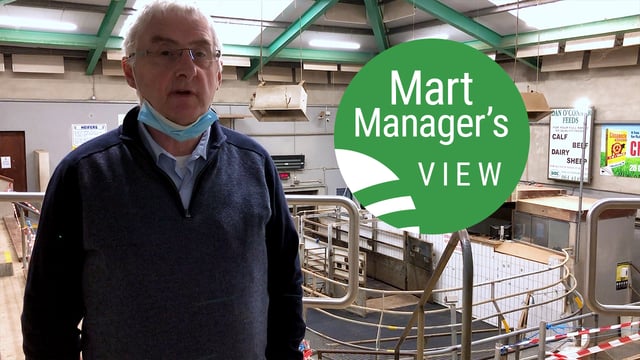 Ennis Mart: Strong showing of spring lambs peaked at €171/head