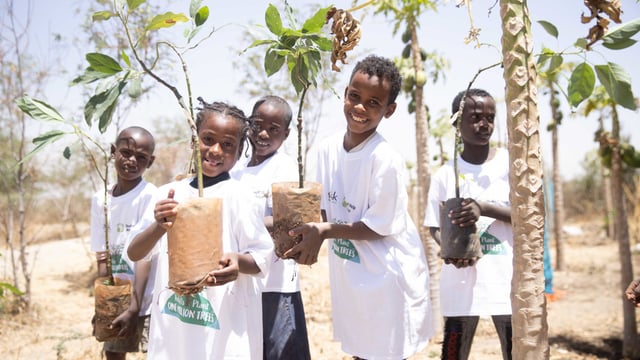 SMEs invited to mark Earth Day by planting trees
