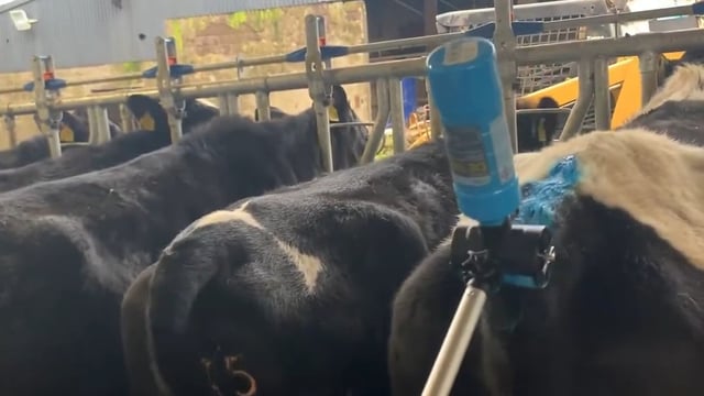 Breeding success: Progressive Genetics strikes supply deal with Tailpainter