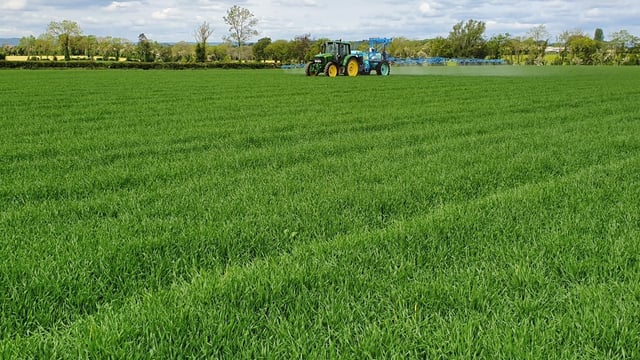 Tillage: Priorities for winter cereal crops