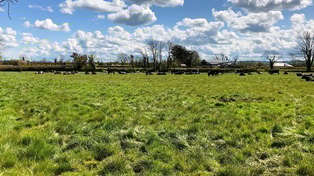 Five finalists named for Young Farmer of the Year