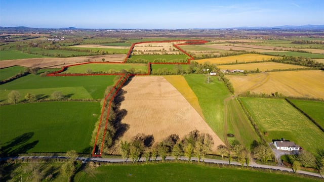 Photos: €950,000 Co. Kildare agricultural land up for auction