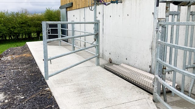 'Where's the cows daddy?' UFU tells of farmers' heartbreak over bovine TB