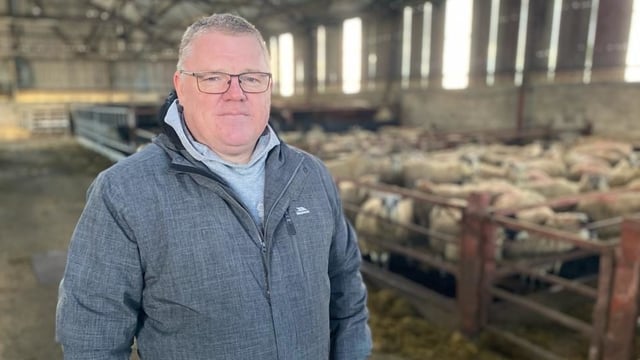 McAleer calls for financial certainty for agriculture in Northern Ireland