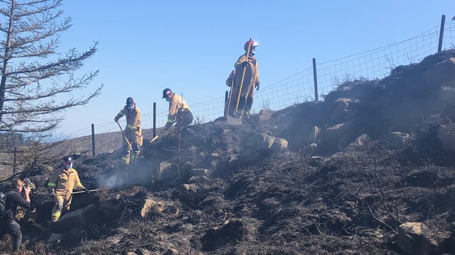 Impact of over and under grazing to be reviewed in wildfire impact report