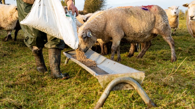 Farmers need specifics around government supports - INHFA