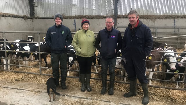 Dairy Focus: Milking 440 cows in the heart of the rebel county