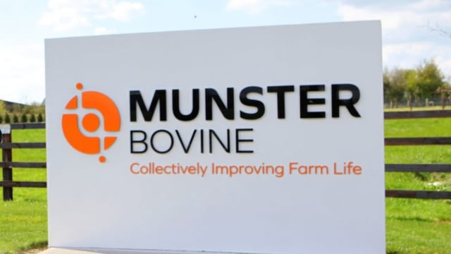 Munster Bovine appoints interim chief executive to permanent post