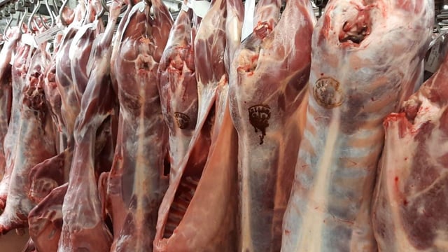 Sheep kill: Aftermath of Eid sees throughput fall over 13,500 head