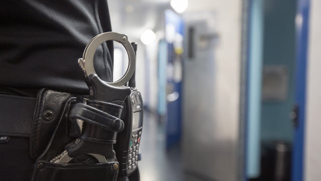 Man arrested after sheep 'believed to have been killed by crossbow'