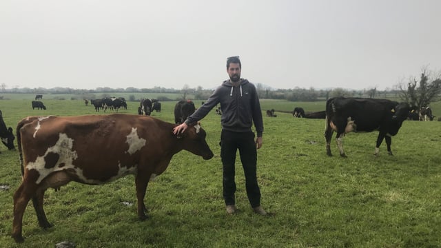 Dairy throwback: From 8 ewe and 5 bull calves to a 120-cow Wicklow dairy farm