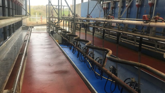 Dairy throwback: 6 of the most popular dairy focuses revisited