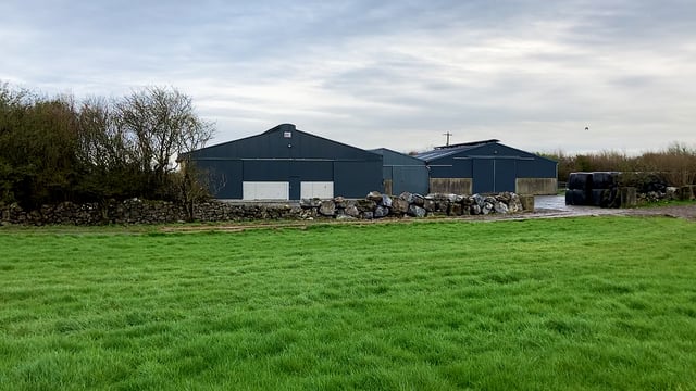 Sheds and outhouses could be used to calculate property tax - Tóibín