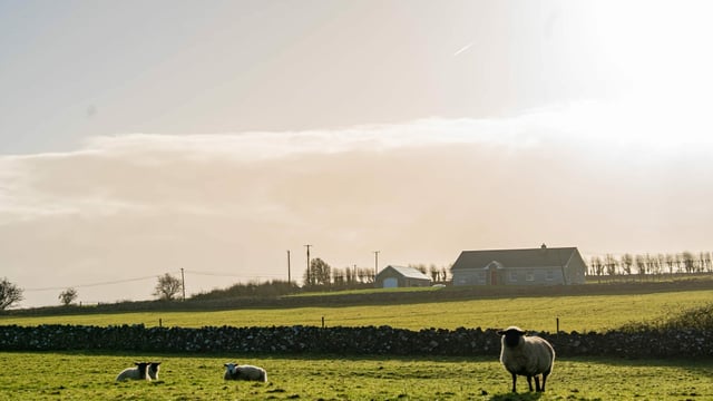 MacManus: Gort biogas plant a 'totally unsuitable development'
