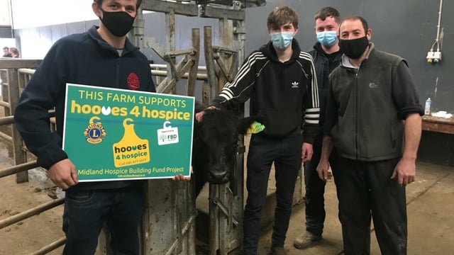 Hooves 4 Hospice sale to take place today