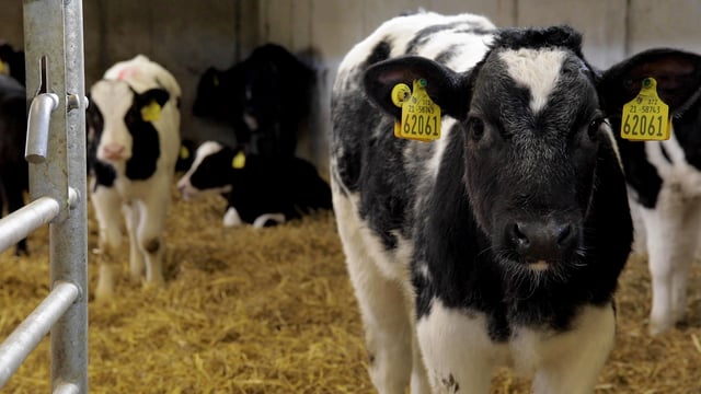 Green Acres: Honing a farm plan in the heart of the west