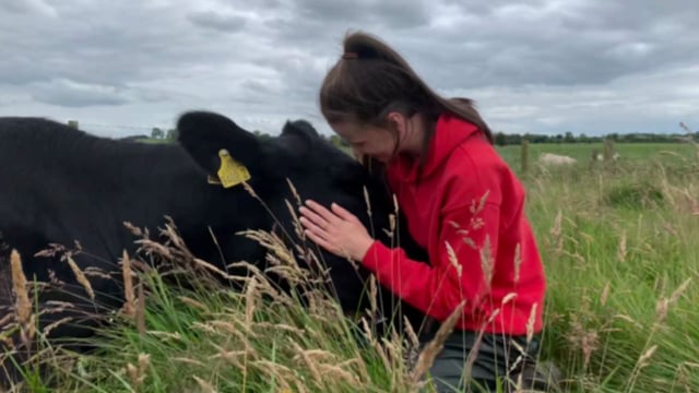 Angus competition encourages schoolgirls to take up part-time farm work