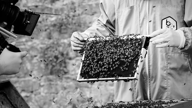 Cork agtech company revolutionising beekeeping