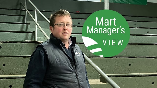 'Cost of feed is telling' but trade good overall at Ballymote