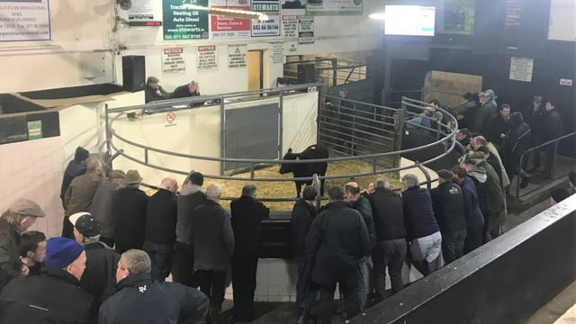 Elphin appoints new mart manager
