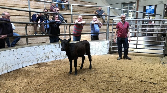 'As a mart manager our job was to get people into the mart - not keep them away'