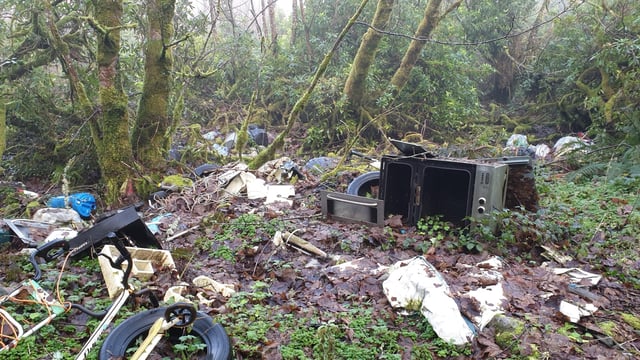Illegal dumping 'increased by up to 25%' since start of Covid