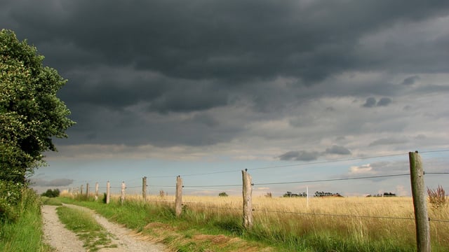 Thunderstorm warning issued for 9 counties