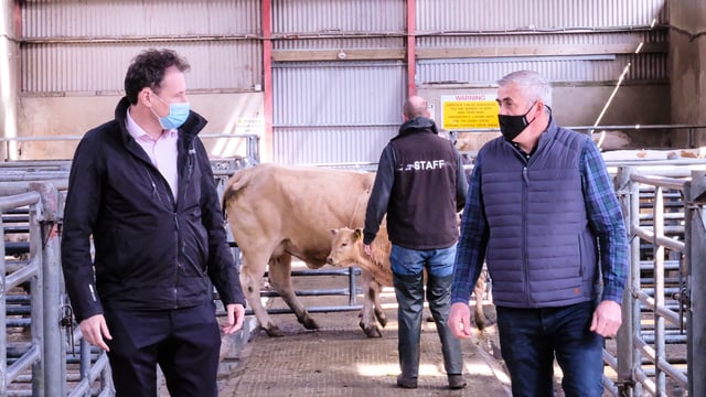 Minister pays tribute to marts and farmers but urges caution