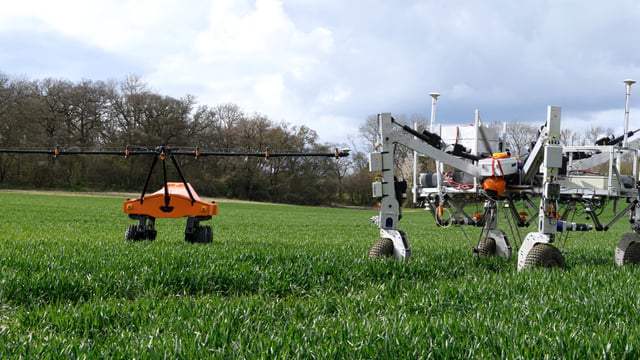 'Per plant farming' with Tom, Dick and Harry