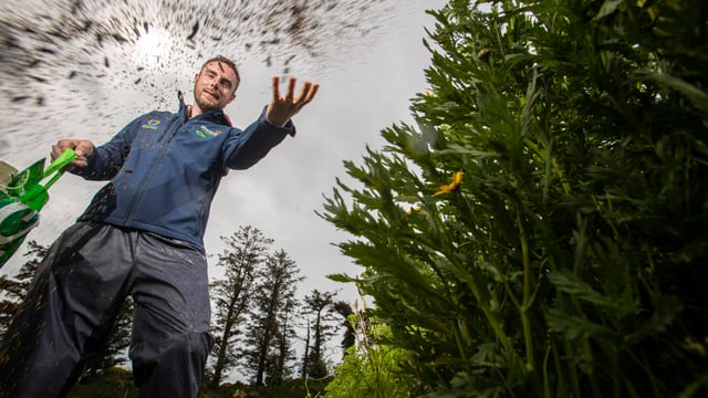 Glanbia biodiversity initiative a hive of activity