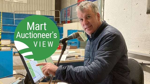 'Exceptionally good trade for heavy ewes' at Tuam Mart on Tuesday