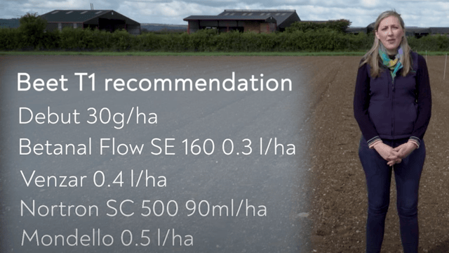 Crops Watch: Spray programmes for cold weather