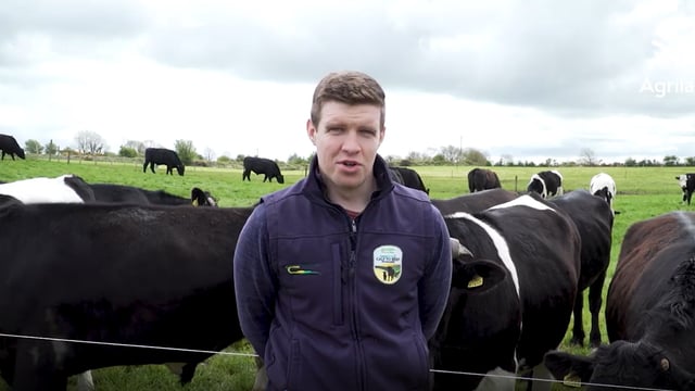 Watch: Virtual farm walk on Green Acres calf-to-beef farm goes live tomorrow