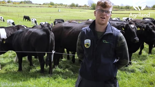 Virtual Farm Walk: Follow Jarlath Ruane as he runs through his calf-to-beef farm