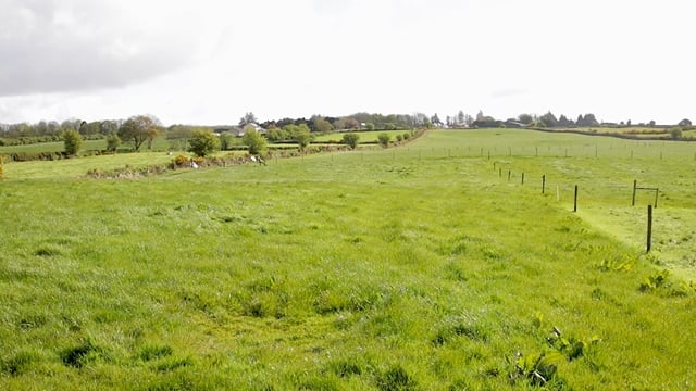 Growth Watch: Critical period for grazing decisions approaching