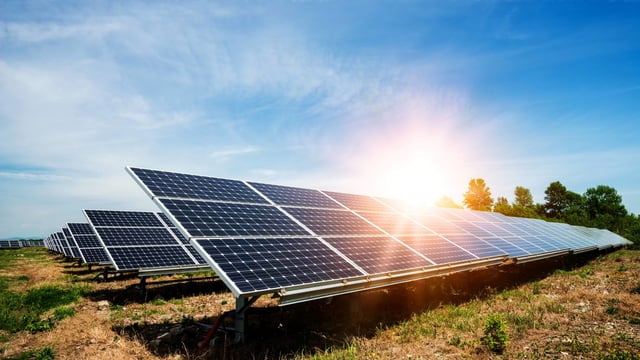 Research: Co-locating crops and solar can increase performance