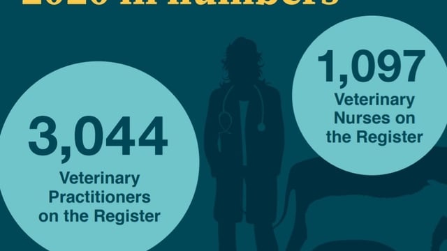 Veterinary Council of Ireland received 38 complaints in 2020