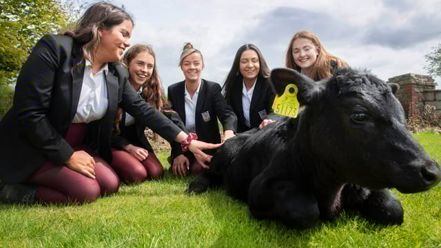 Non-farming students scoop top award at Certified Irish Angus competition