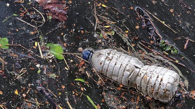 €5m announced to tackle scourge of litter