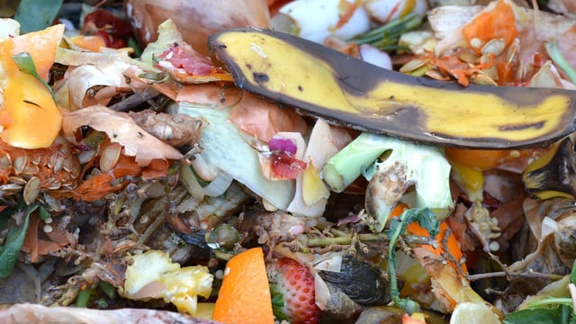 16% of households compost food waste, 13% feed it to animals