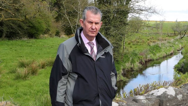 Poots remains as NI agriculture minister in the interim