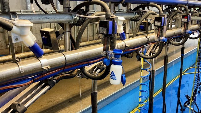 What are the benefits of milk recording?