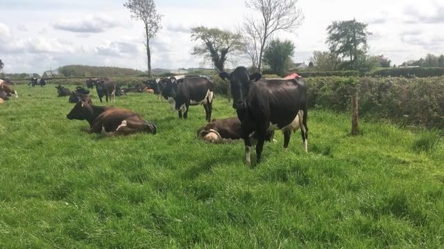 Breeding season gets underway on farms