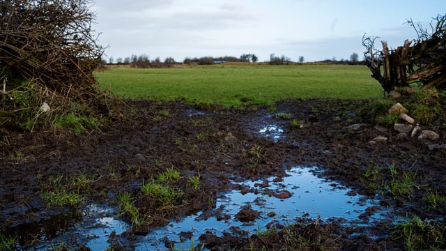 Soil conditions likely to deteriorate amid wet weather