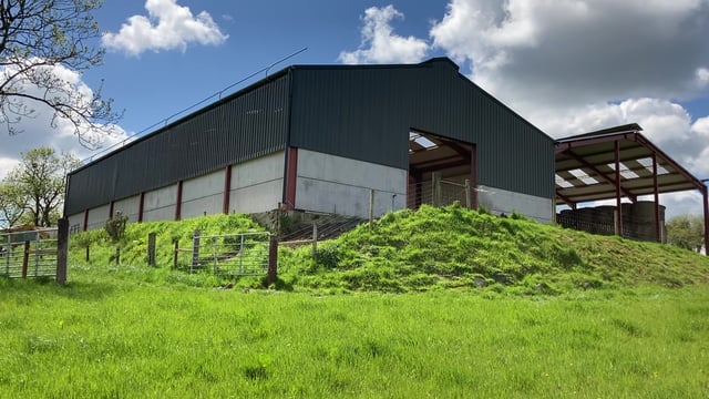 Buildings Focus: Grant-spec sheep shed for a 300-ewe flock in Co. Cavan