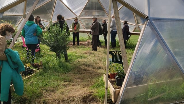 Westmeath farm hosts 'open air life' summer event series