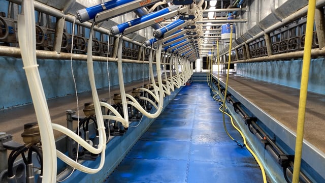 Reduce thermoduric counts with cow hygiene &amp; washing